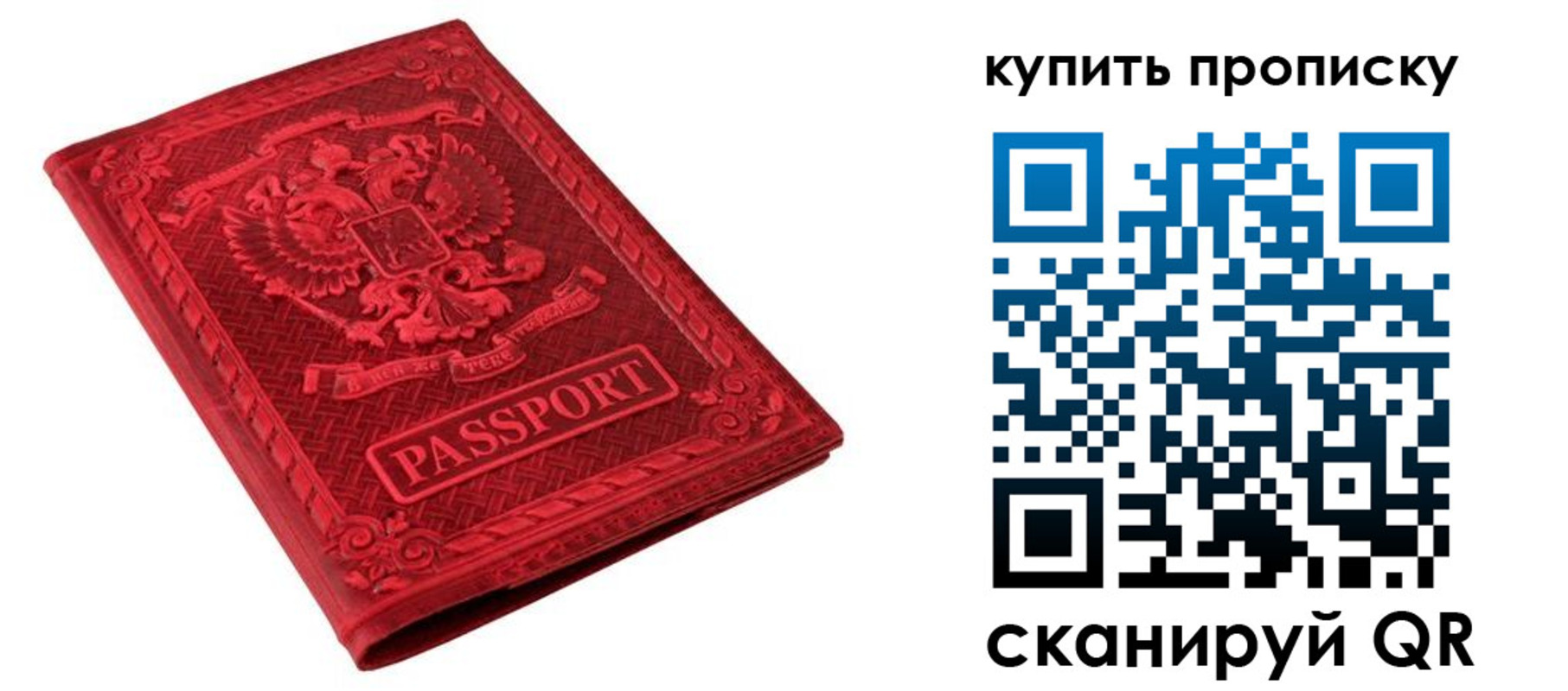 прописка в Мытищах
